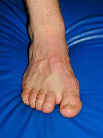 Footguys show meaty feet at Foot Friends NYC event