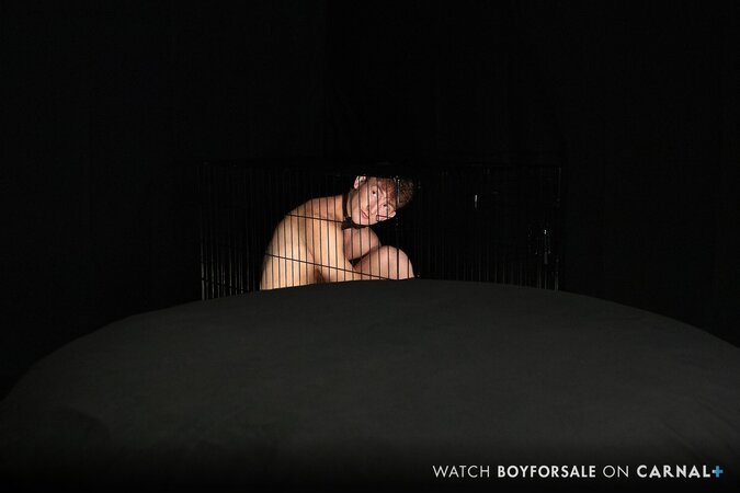Colton Fox sucks Reece Scott in caged slave romp
