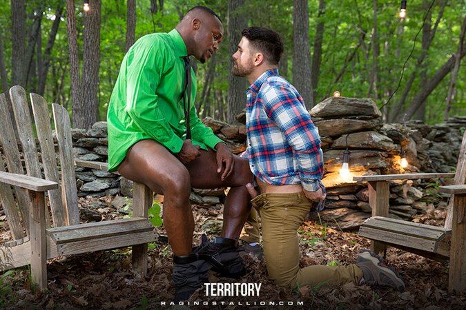 Seven studs raw battle to save The Territory with ass