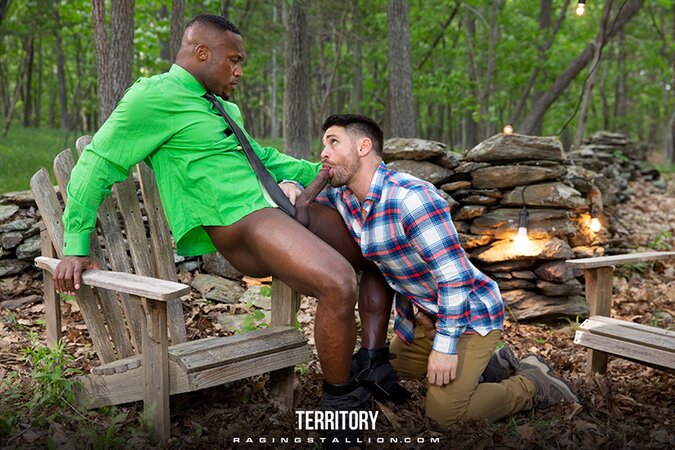 Seven studs raw battle to save The Territory with ass