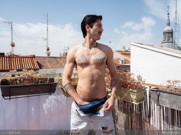 Alexis Clark jerks off hairy cock on the sunny rooftop