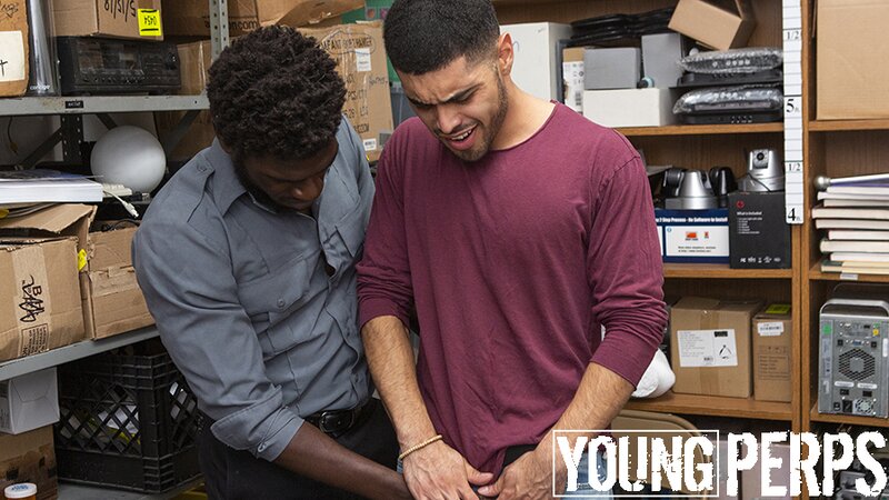 Hairy hunk takes BBC cumshot in hot bareback scene