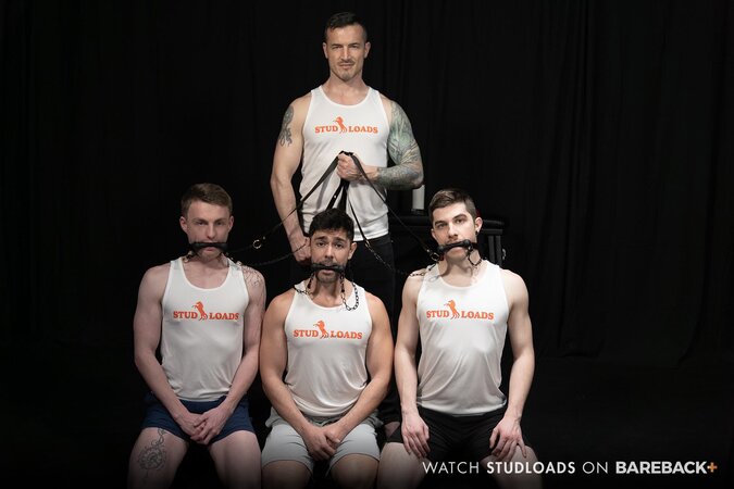 Seven stallions gang-mark and breed three hooded mares