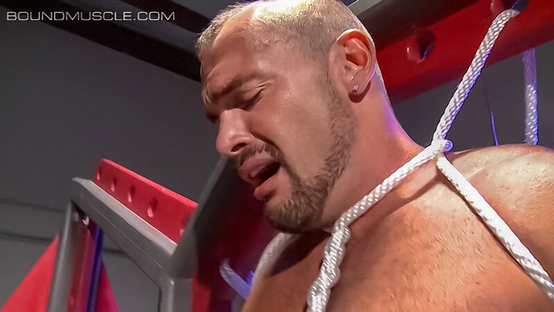 Poor Jessie Balboa screams loud when Dire Callahan pegs him