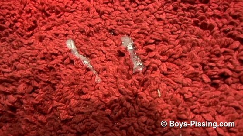 Bryce Corbin pisses rug then jerks thick load in bath