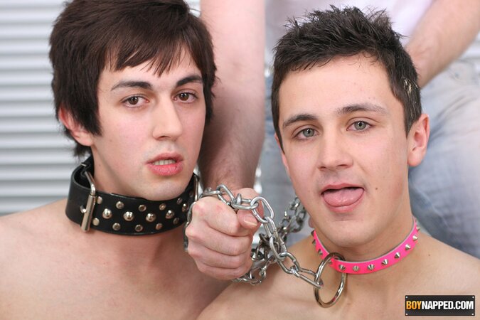 Pup Dylan gets plugged and fucked by Finley