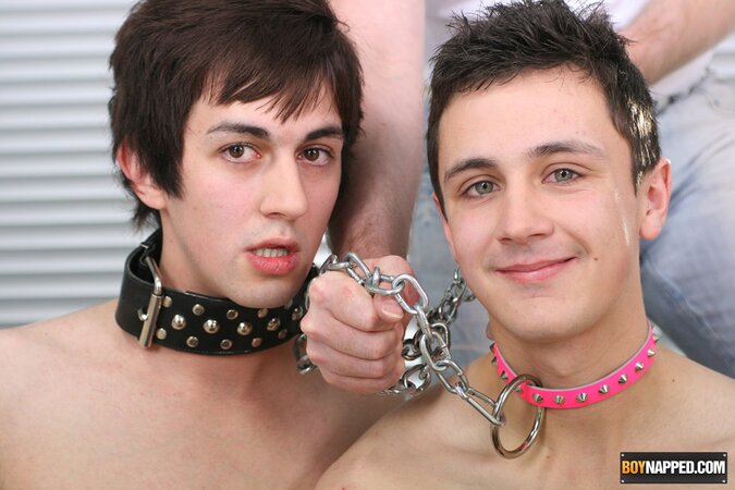 Pup Dylan gets plugged and fucked by Finley