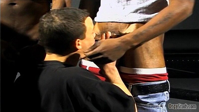 White bottom gets gangbanged by black hunks