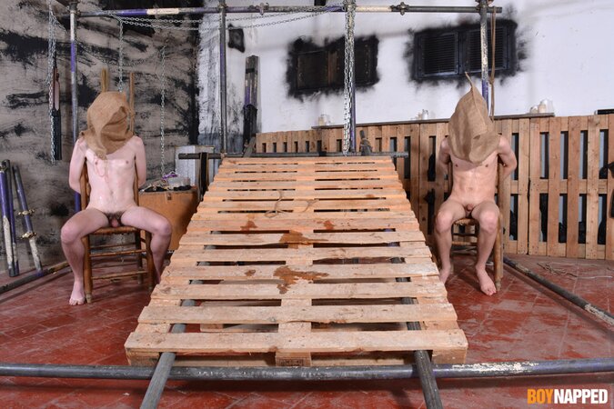 Master Xavier Sibley blindfolds and milks two bound twinks until they explode