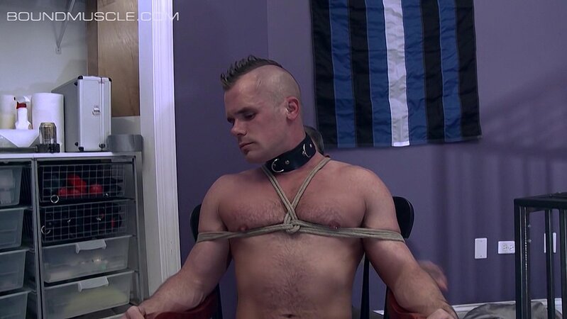 Pup Cullen gets tied to a chair and learns the hard way not to use his teeth