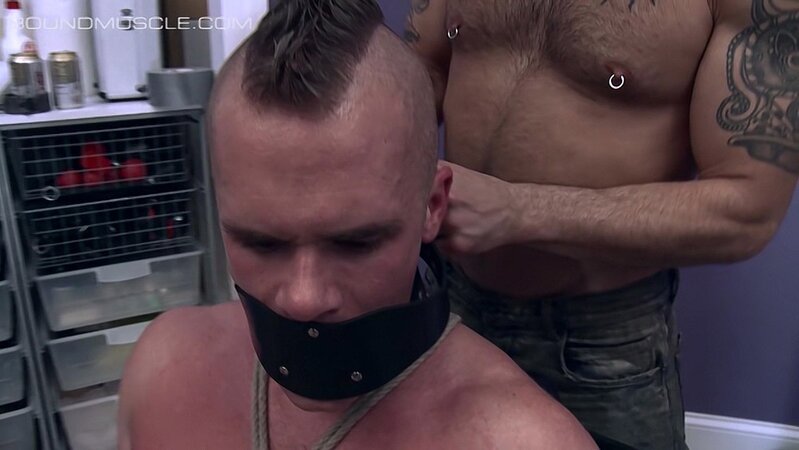 Pup Cullen gets tied to a chair and learns the hard way not to use his teeth
