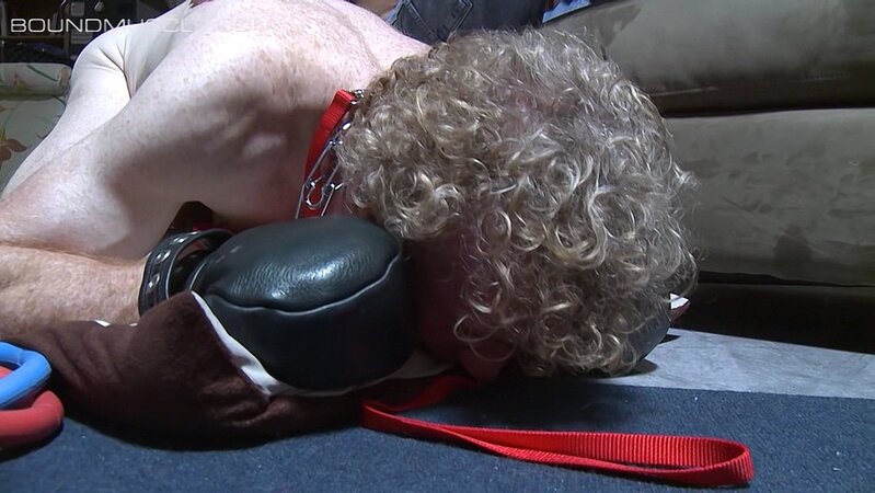 Joe Giovanni trains his reluctant puppy boy with leather muzzle