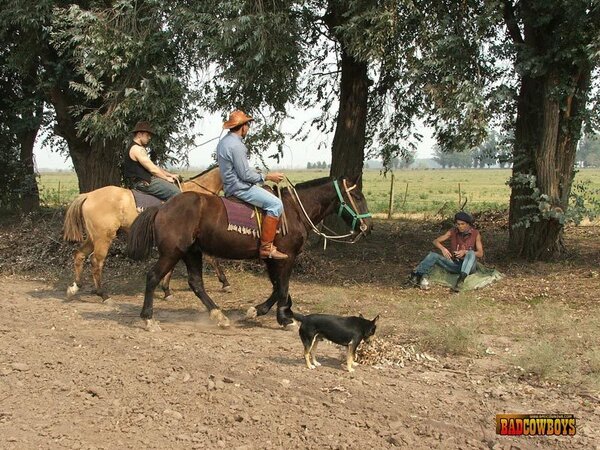 Slim guy sandwiched between 2 cowboys