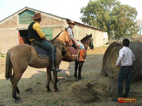 Guy taking black and white cowboys' cocks