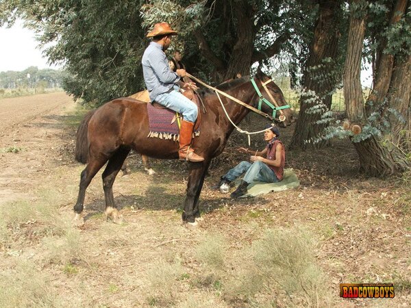 Wild West gay action