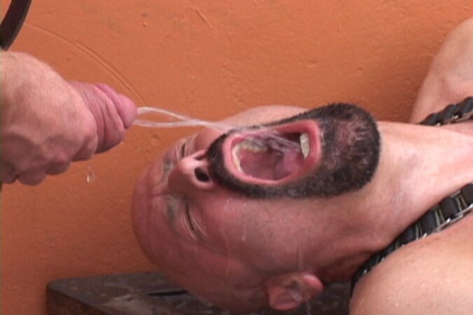 David Edge and Marcelo Masko gets pissed on and fucked