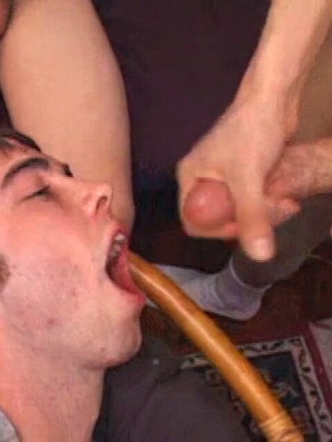 Gunner, Matt, Kaos, Levi and Tapher