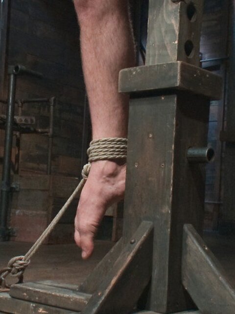 Tied up and Fucked