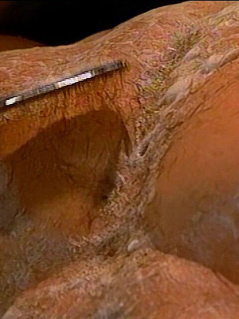 Will Clark shaves Hunter Scott’s chest before deep sucking