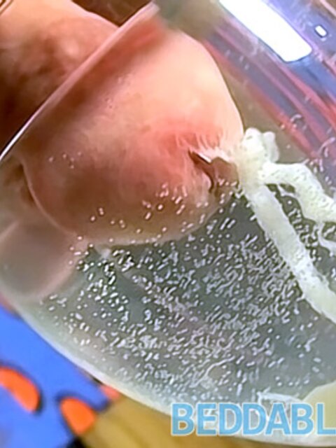 Billy solo masturbation with squirting cum and surprise finish
