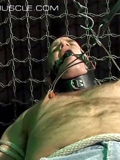 Bigg Pete is tied down and gagged before nipple clamps go on