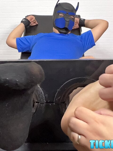 Matt ties Pup Carlos in a chair and tickles his feet hard