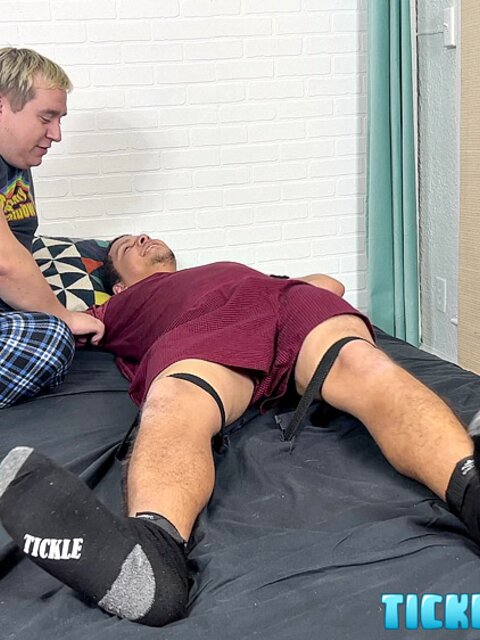 Sammy tied to table and tickled to submission by playful Matt