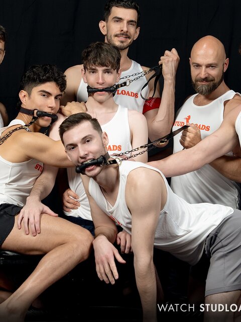 Seven studs oil and breed new stallions on farm