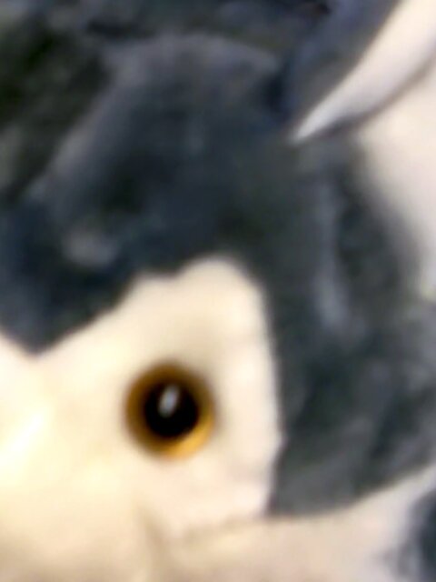 Trace Van De Kamp gets sucked and milked by Erik Tribold