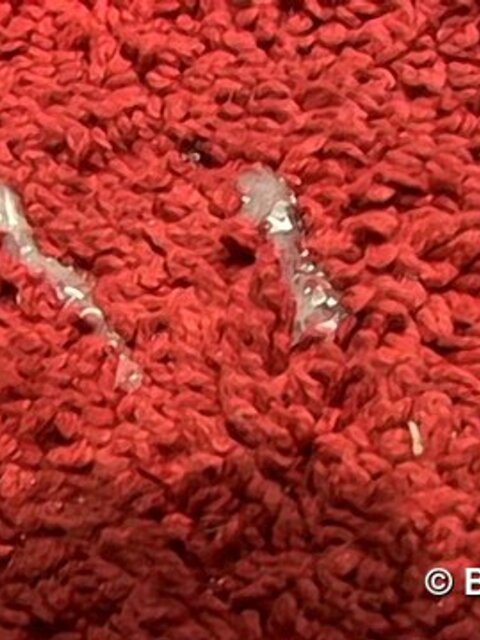 Bryce Corbin pisses rug then jerks thick load in bath