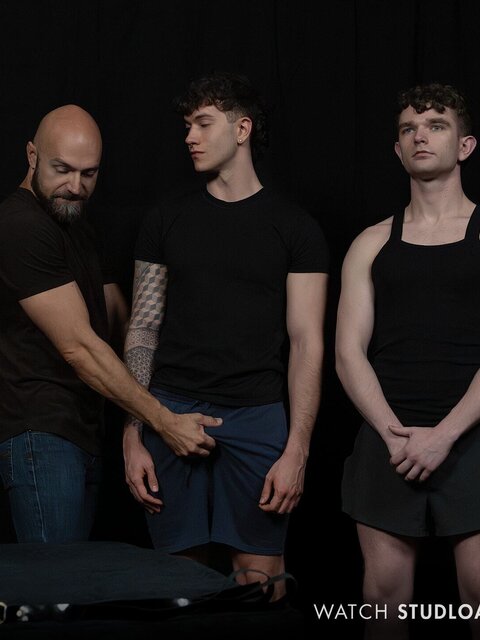 Stable master Adam Snow bridles and edges new mares