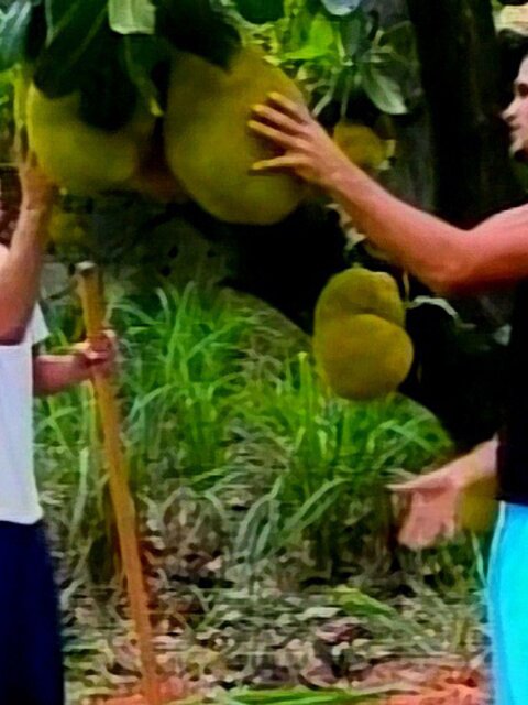 Tattooed Davison rides Eduardo’s cock in the jungle