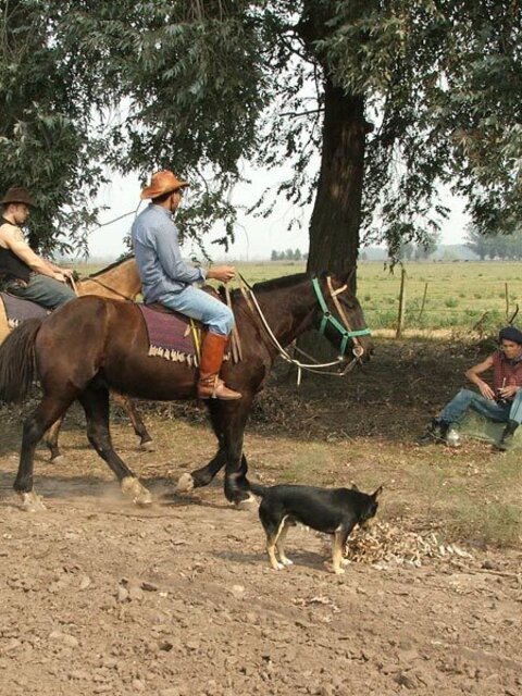 Slim guy sandwiched between 2 cowboys