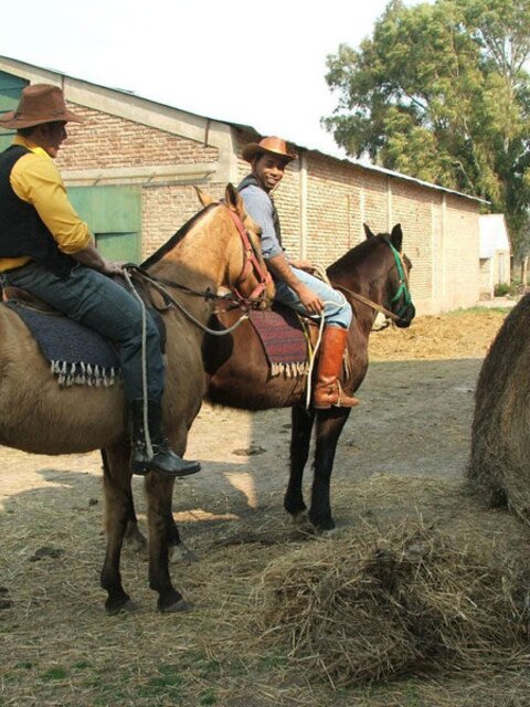 Guy taking black and white cowboys' cocks