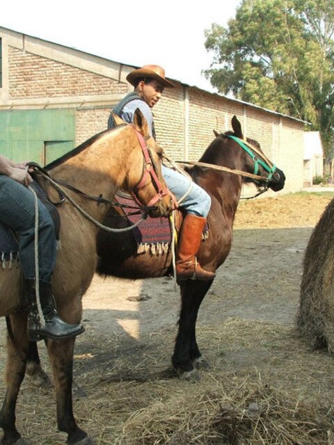 2 gay cowboys give twink a wild west double