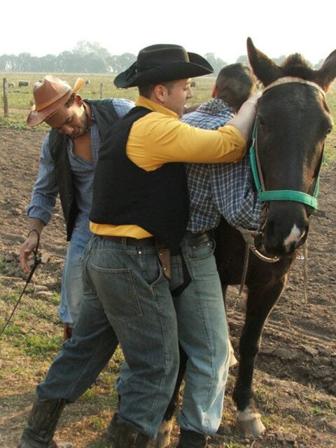 Twink gets hammered by big cowboy cocks