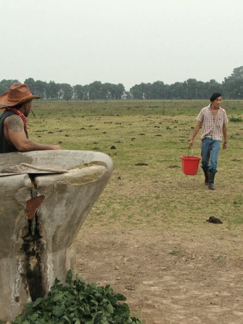 Guy taking black and white cowboys` cocks